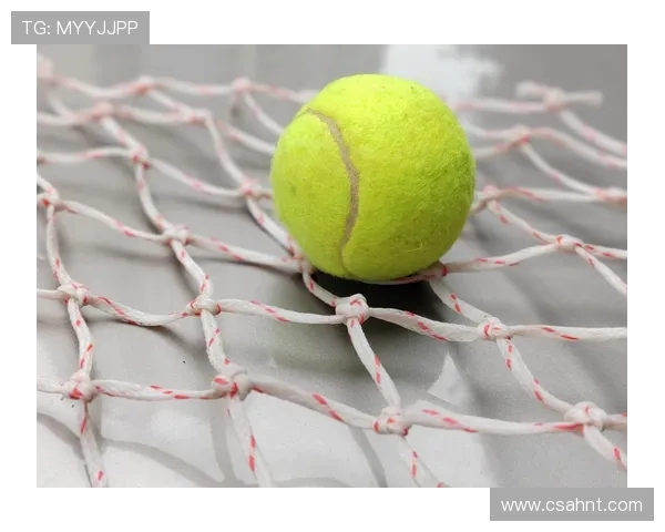 网球运动的魅力与挑战从技巧提升到心理素质全面探讨