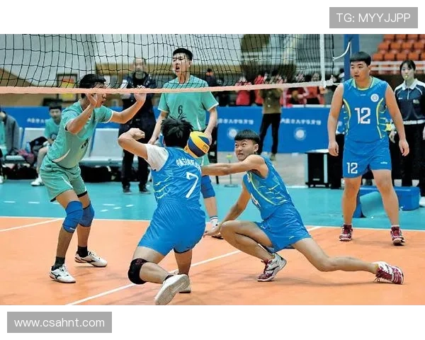 专访王磊揭秘排球成功背后的秘诀与团队精神