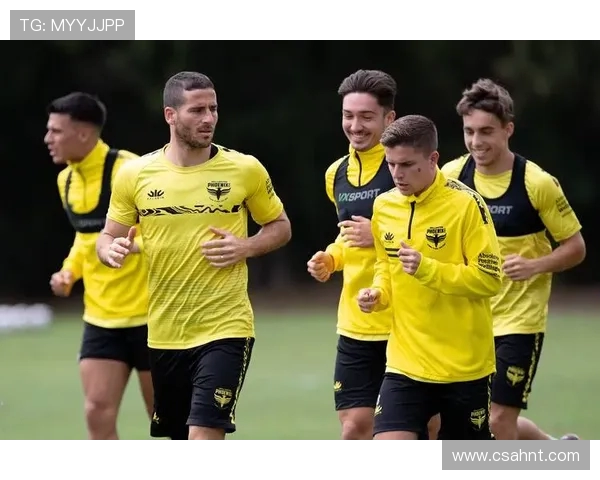 墨尔本胜利与惠灵顿凤凰对决前瞻分析及比赛结果预测